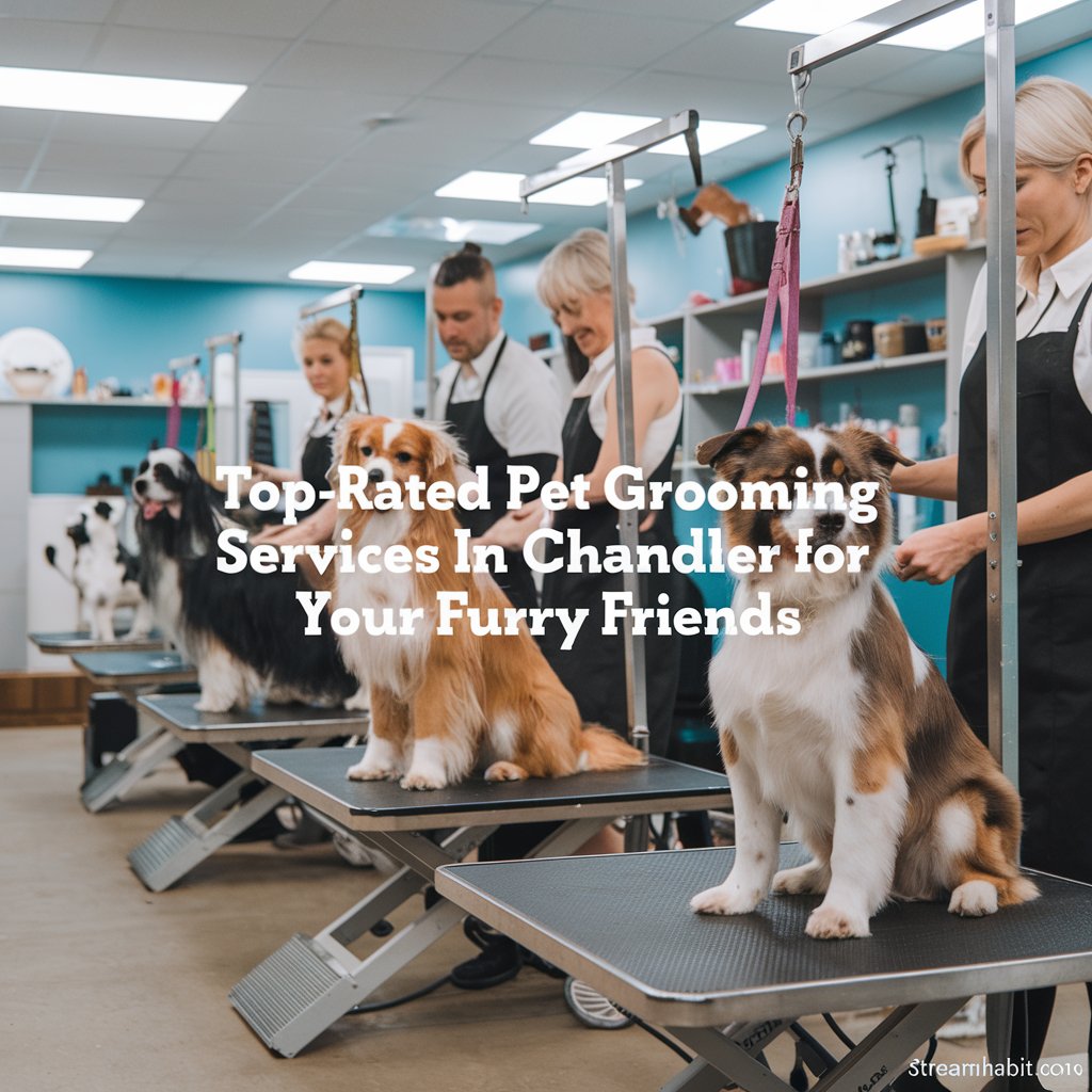 Top-Rated Pet Grooming Services in Chandler for Your Furry Friends 2024